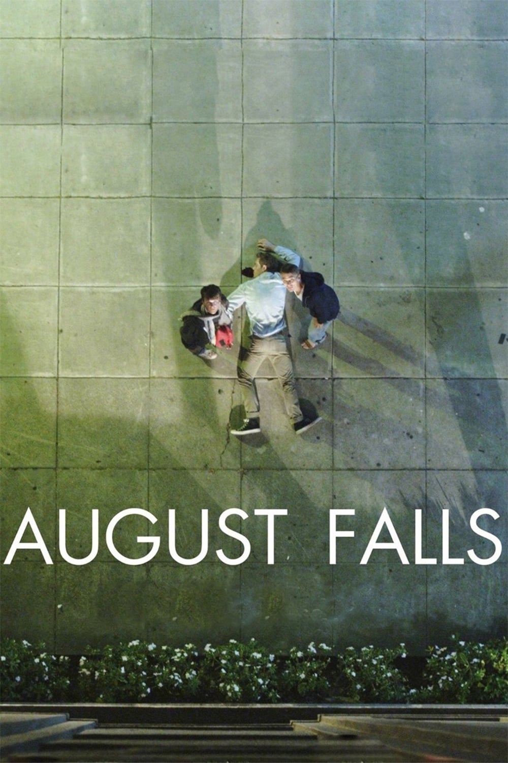 Постер August Falls